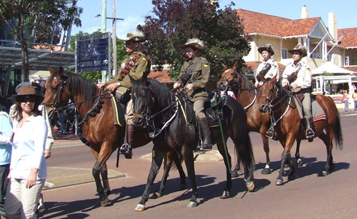Walers during ANZAC Day parade 2008