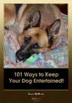 101 Ways to Keep Your Dog Entertained