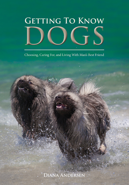 Choosing a Dog Book by Diana Andersen