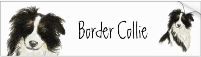 Border Collie Bumper Sticker