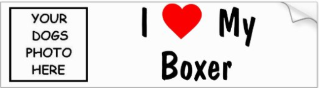 I love my Boxer bumper sticker