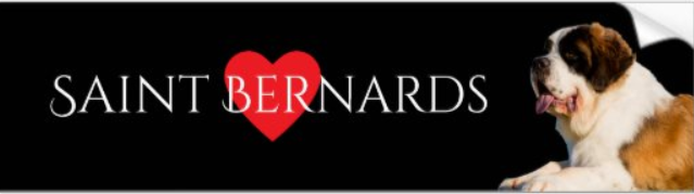 St Bernard Bumper Sticker