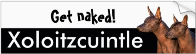Xoloitzcuintle Bumper sticker