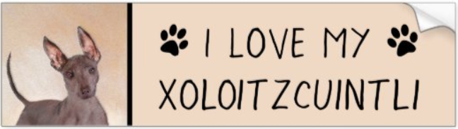 Xoloitzcuintle Bumper sticker