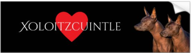 Xoloitzcuintle Bumper Sticker