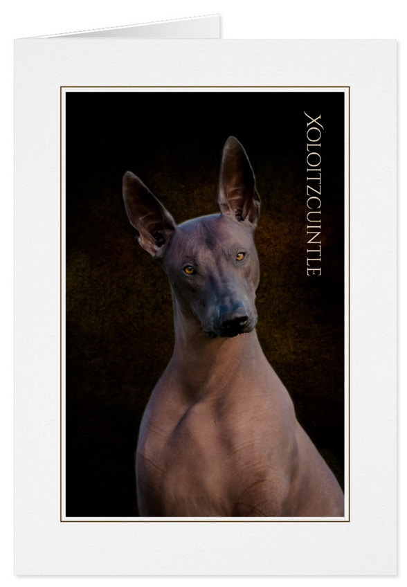 Xoloitzcuintli Card