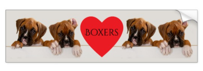 Boxer Puppy Bumper sticker