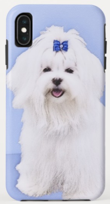 Blue Maltese Dog phone case