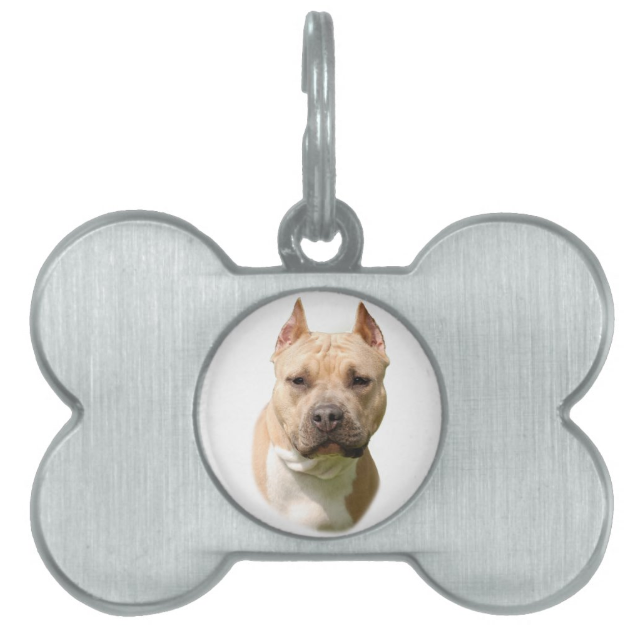 American Staffordshire Terrier ID tag