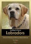 Getting to Know Labradors