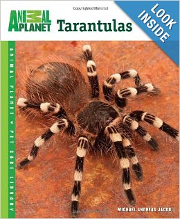 Spider Amp Insect Books Softcover Paperback