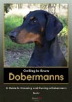 Getting to Know Dobermanns